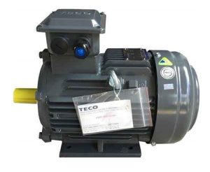motor teco aesv1